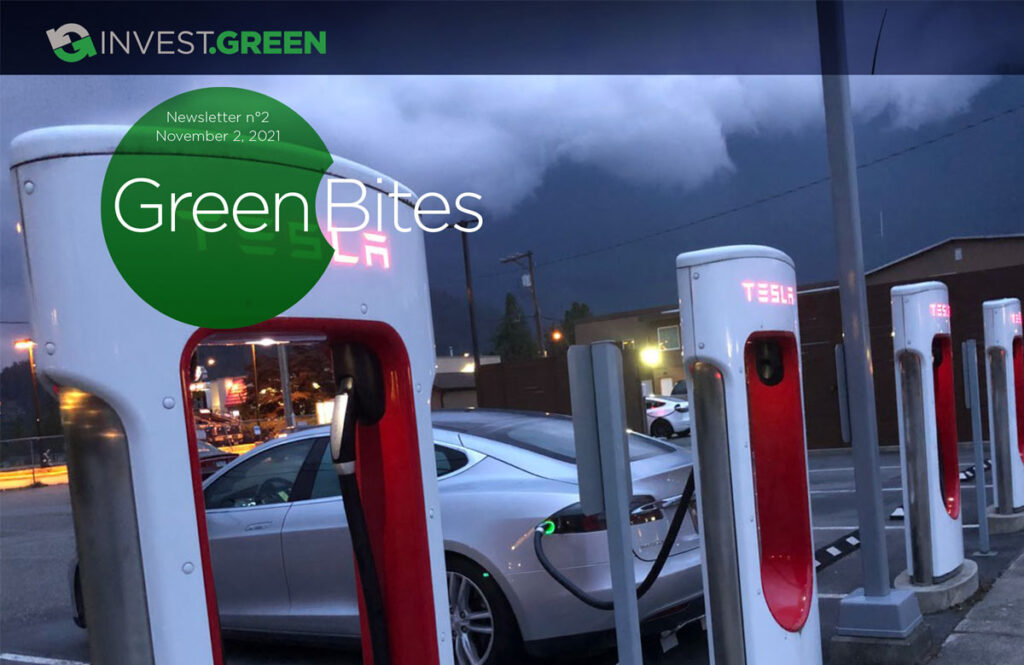 invest.green tesla